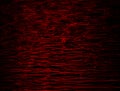 Abstract red lines drawn by light on a black background Royalty Free Stock Photo