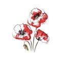 Abstract Red Poppy flowers. The effect of red gouache stains. Contemporary floral art style. Suitable for posters, logos