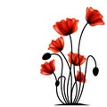 Abstract red poppy