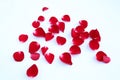 Abstract of red rose petals on a white background Royalty Free Stock Photo