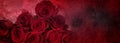 Abstract red roses background Royalty Free Stock Photo