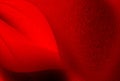 Abstract red smooth waves, soft grainy texture with flowing shapes for modern digital art Royalty Free Stock Photo