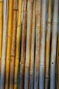 Abstract reed texture