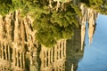 Abstract reflection of the exterior of the famous Familia Sagrada church