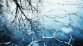 Abstract Reflection of Tree Branches in Cracked Ice Royalty Free Stock Photo