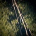 Abstract reflection of trees and branches on water. The image captures vertical streaks of brown Royalty Free Stock Photo