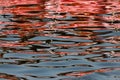 Abstract reflections of colours in water Royalty Free Stock Photo