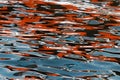Abstract reflections of colours in water