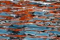 Abstract reflections of colours in water Royalty Free Stock Photo