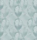 Abstract regular beech leaves in gray shades vertically and blurred