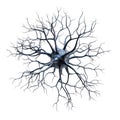Abstract representation of a complex neuron structure with intricate dendrite network on white background