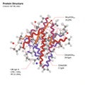 Abstract representation of a protein structure, featuring a complex array of helical and Royalty Free Stock Photo