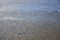 Abstract rippled wet sand background Royalty Free Stock Photo