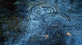 Raindrops Creating Circular Ripples on the Dark Blue Water Surface and a Few Fallen Leaves Royalty Free Stock Photo