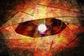 Abstract robot eye background Royalty Free Stock Photo