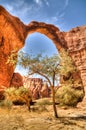 Abstract Rock formation at plateau Ennedi aka Aloba arch in Chad