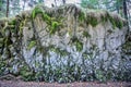 Abstract rock structure near saut du doubs waterfall