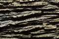 Abstract rock texture