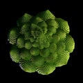 Abstract Romanesco broccoli 3d illustration of cauliflower. Food art concept