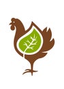 Rooster chicken eco logo