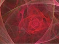 Abstract rose background Royalty Free Stock Photo