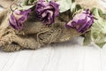 Abstract rose bouquet, Bouquet of dried flowers on old burlap texture Royalty Free Stock Photo