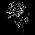 Abstract rose flower outline icon isolated on black background. Hand Drawn  illustration. Rose logo Royalty Free Stock Photo