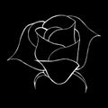 Abstract rose flower outline icon isolated on black background. Hand Drawn vector illustration. Rose logo