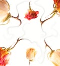 Abstract rose frame Royalty Free Stock Photo