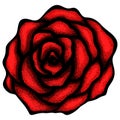Abstract rose free-hand drawing in a graphic style