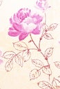 Abstract rose purple wallpaper