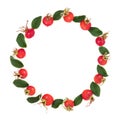 Immune Boosting Abstract Rosehip Wreath