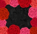 Abstract roses frame Royalty Free Stock Photo