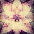 Abstract rosette background