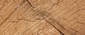 Abstract Rough Pine Wood Grain Wide Texture Close-up Royalty Free Stock Photo