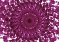 Abstract round texture, violet rosettes
