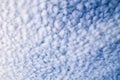 Abstract rounded clouds texture