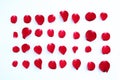 Abstract row of red rose petals on a white background Royalty Free Stock Photo