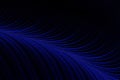 Abstract royal blue plume with black copy space