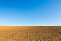 Abstract rural scenery in spring, with infinite horizon, bright colors, along natural lake with reed plants Royalty Free Stock Photo