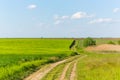 Abstract rural scenery in spring, with infinite horizon, bright colors, along natural lake with reed plants Royalty Free Stock Photo