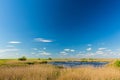 Abstract rural scenery in spring, with infinite horizon, bright colors, along natural lake with reed plants Royalty Free Stock Photo