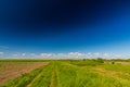 Abstract rural scenery in spring, with infinite horizon, bright colors, along natural lake with reed plants Royalty Free Stock Photo