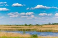 Abstract rural scenery in spring, with infinite horizon, bright colors, along natural lake with reed plants Royalty Free Stock Photo