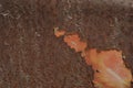 Abstract Rusted Metal Textures surface background closeup