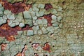 Abstract rusty texture with a cracked green paint, sheet of rusty metal with cracked and flaky paint,vertical rusty metal backgrou