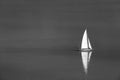 Abstract sailboat calm water, artistic sea reflections. Dramatic black and white process of white sail on dark ocean water surface