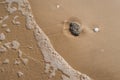 Abstract sand background with lying stone and bubbling ocean water