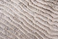 Abstract sandy texture with river ripples Royalty Free Stock Photo