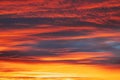 Abstract Saturated Orange-yellow Colors Of Clouds. Unusual Sky Background. Rich Orange Colors. Toned Pink-yellow Clouds